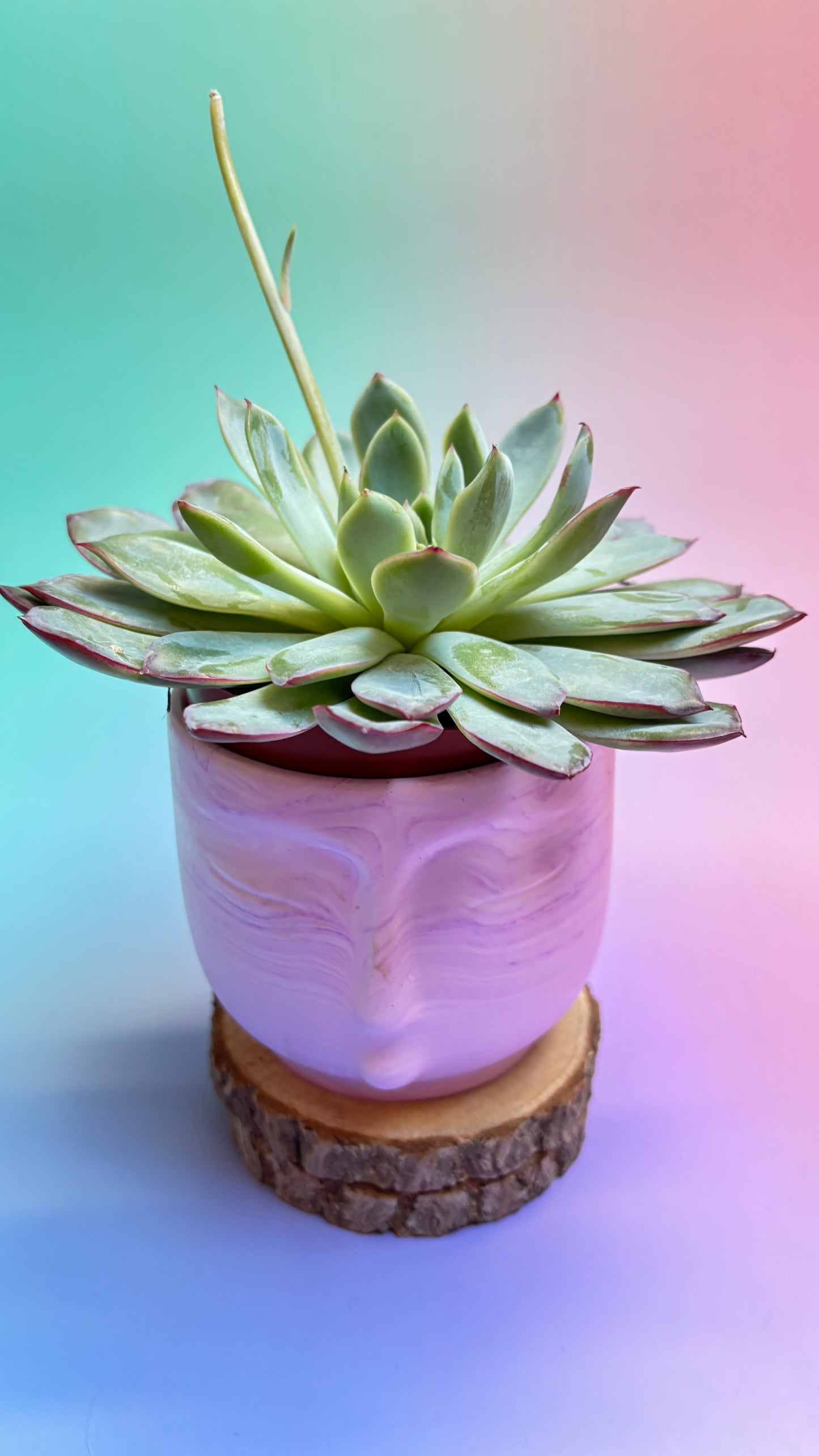 Handgefertigter Jesin®-Blumentopf & Kerzenschale „serena Face“ – Pastell-Lila