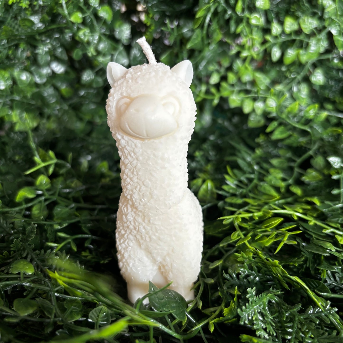 Lama-Kerze aus natürlichem Rapswachs