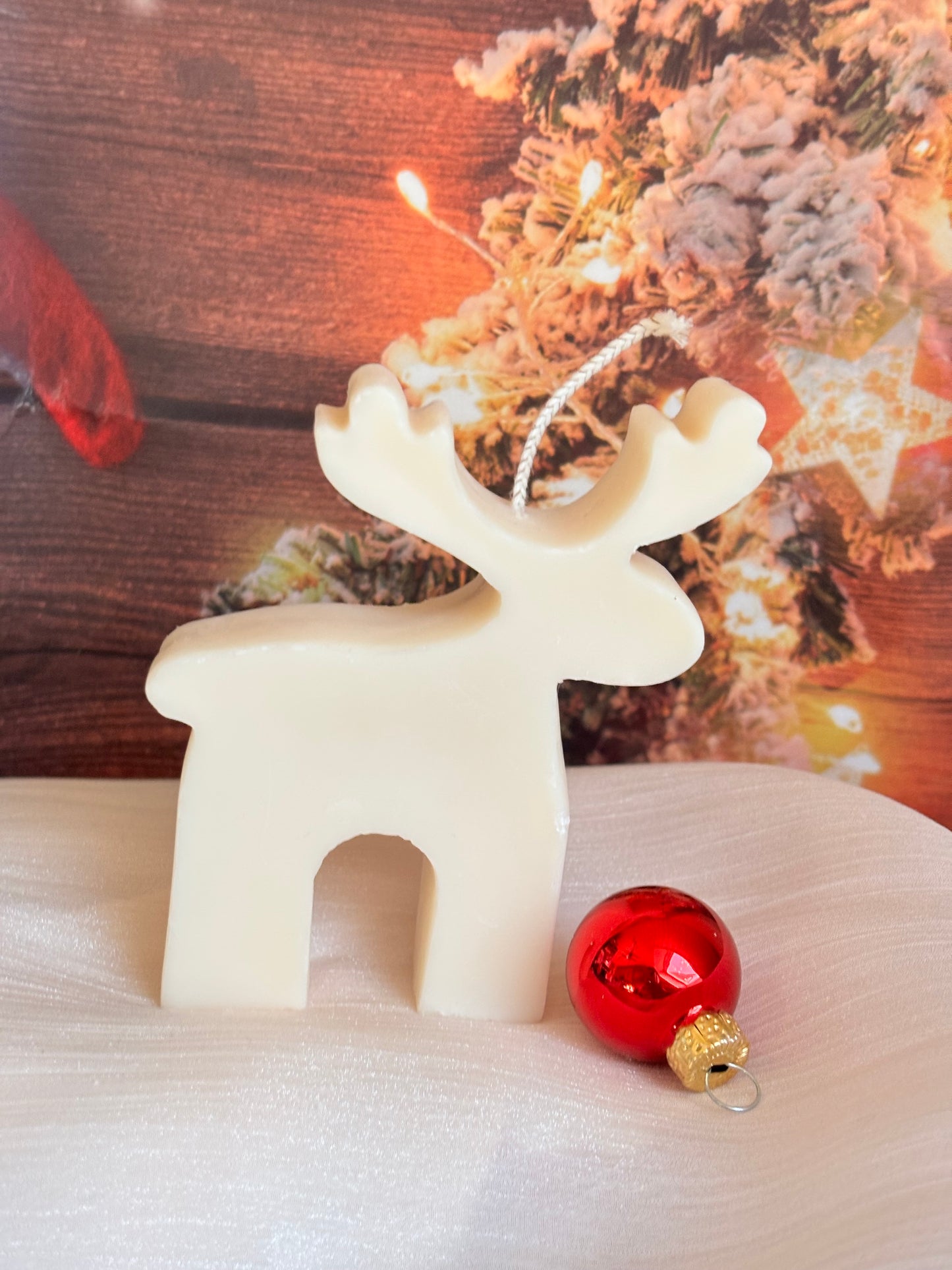 „Nordlicht-Rentier“