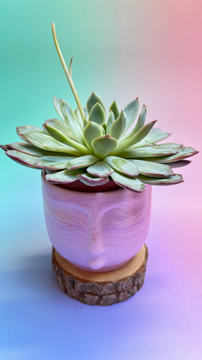Handgefertigter Jesin®-Blumentopf & Kerzenschale „serena Face“ – Pastell-Lila