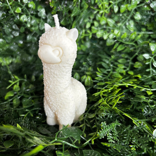 Lama-Kerze aus natürlichem Rapswachs