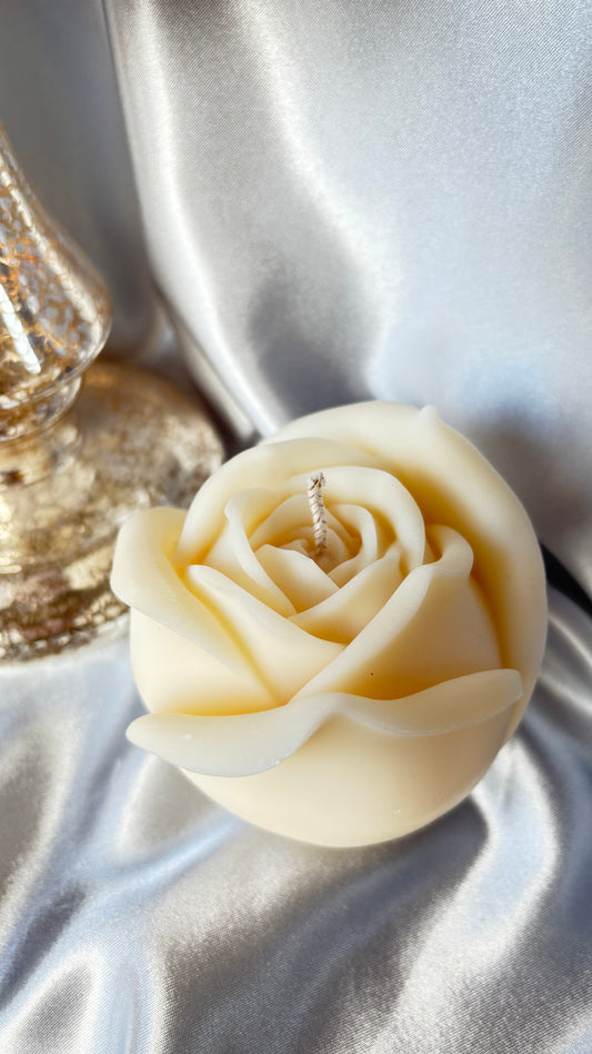 Mondrose