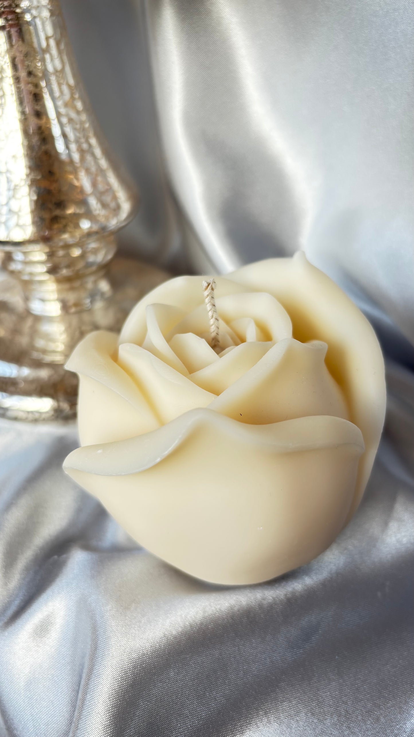 Mondrose