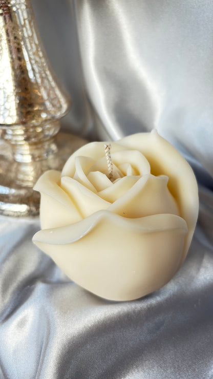 Mondrose